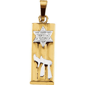 14K Yellow & White 21x7mm Mezuzah Medal